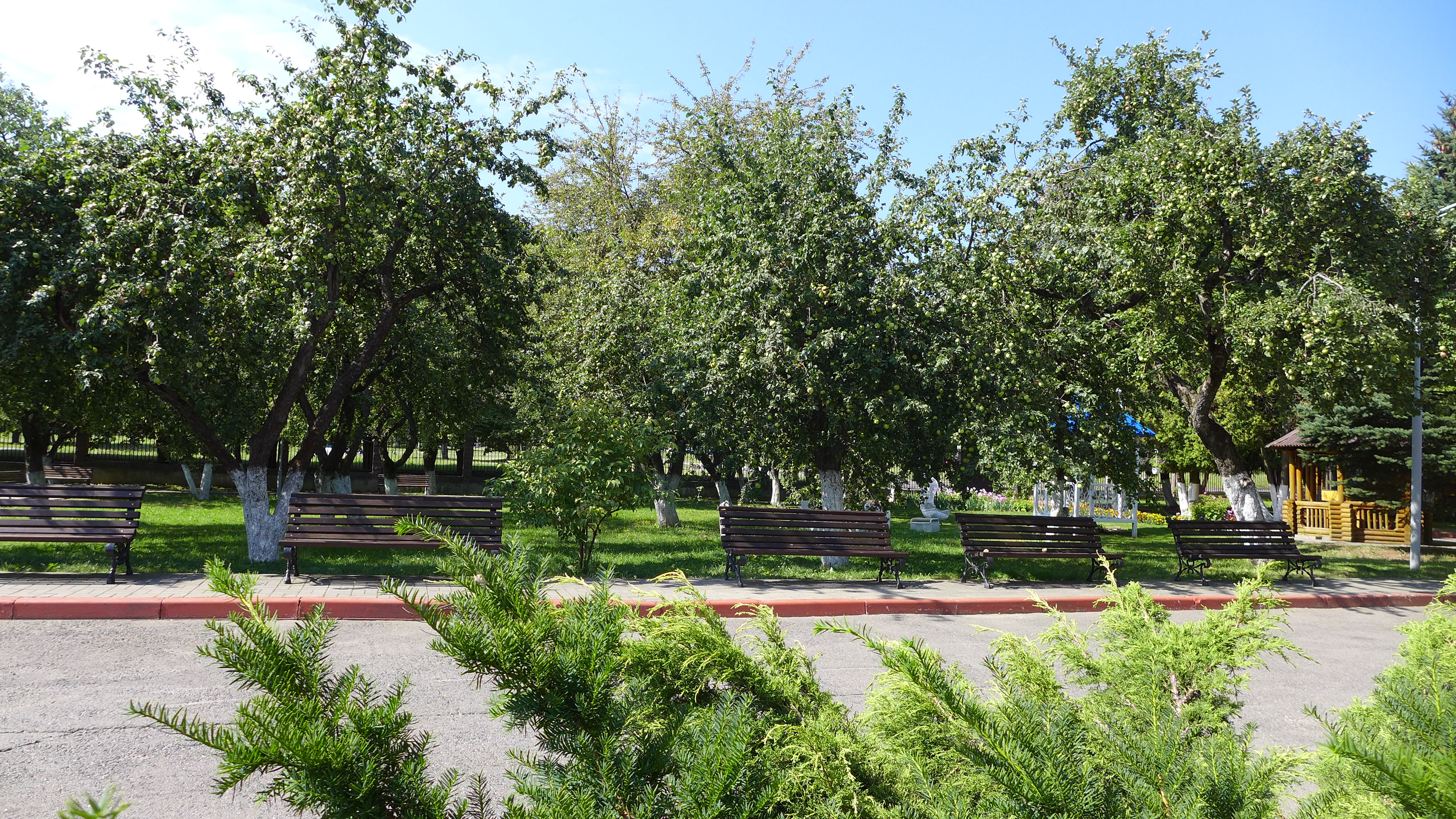 Картинка пансионата