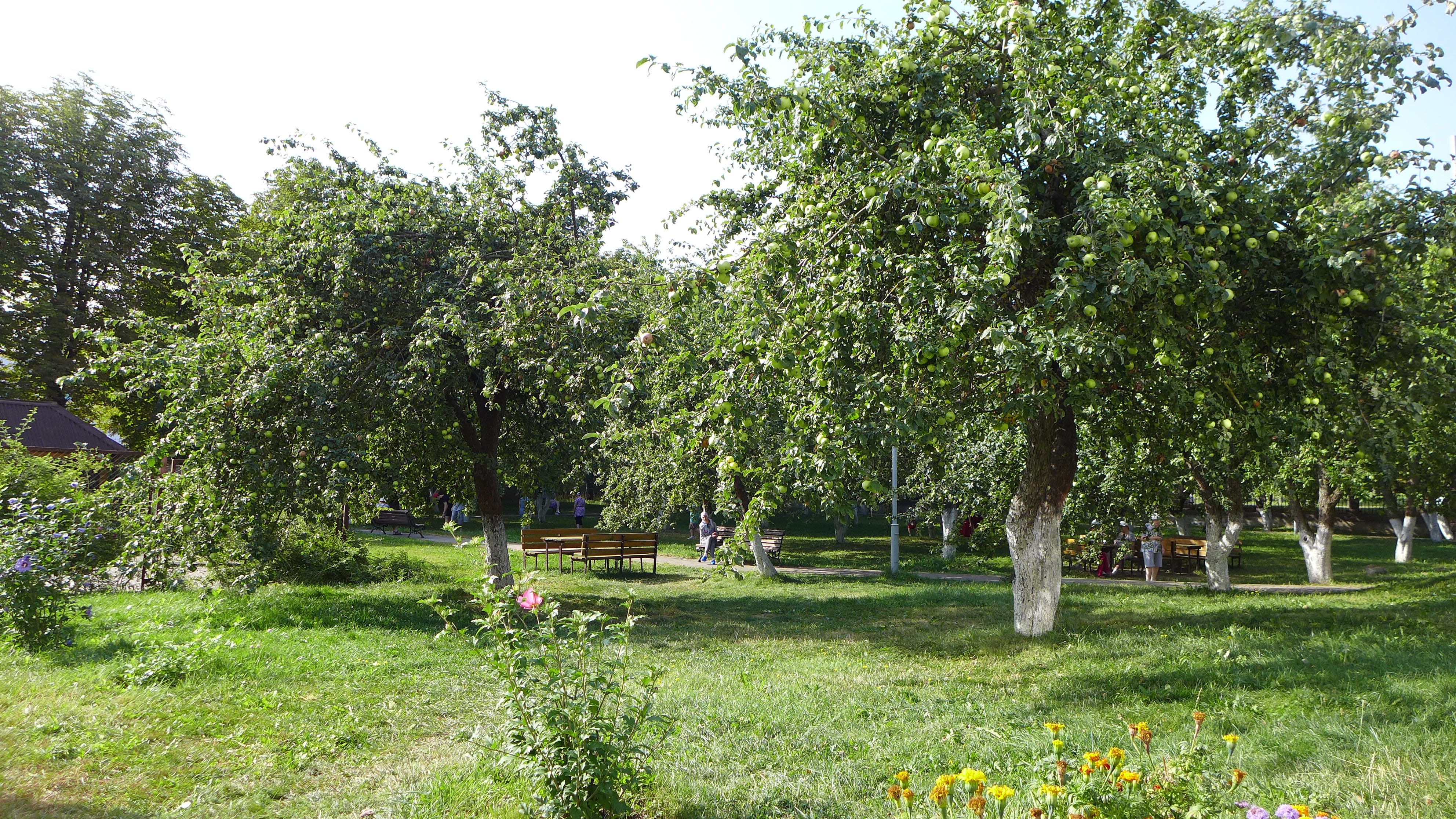 Картинка пансионата