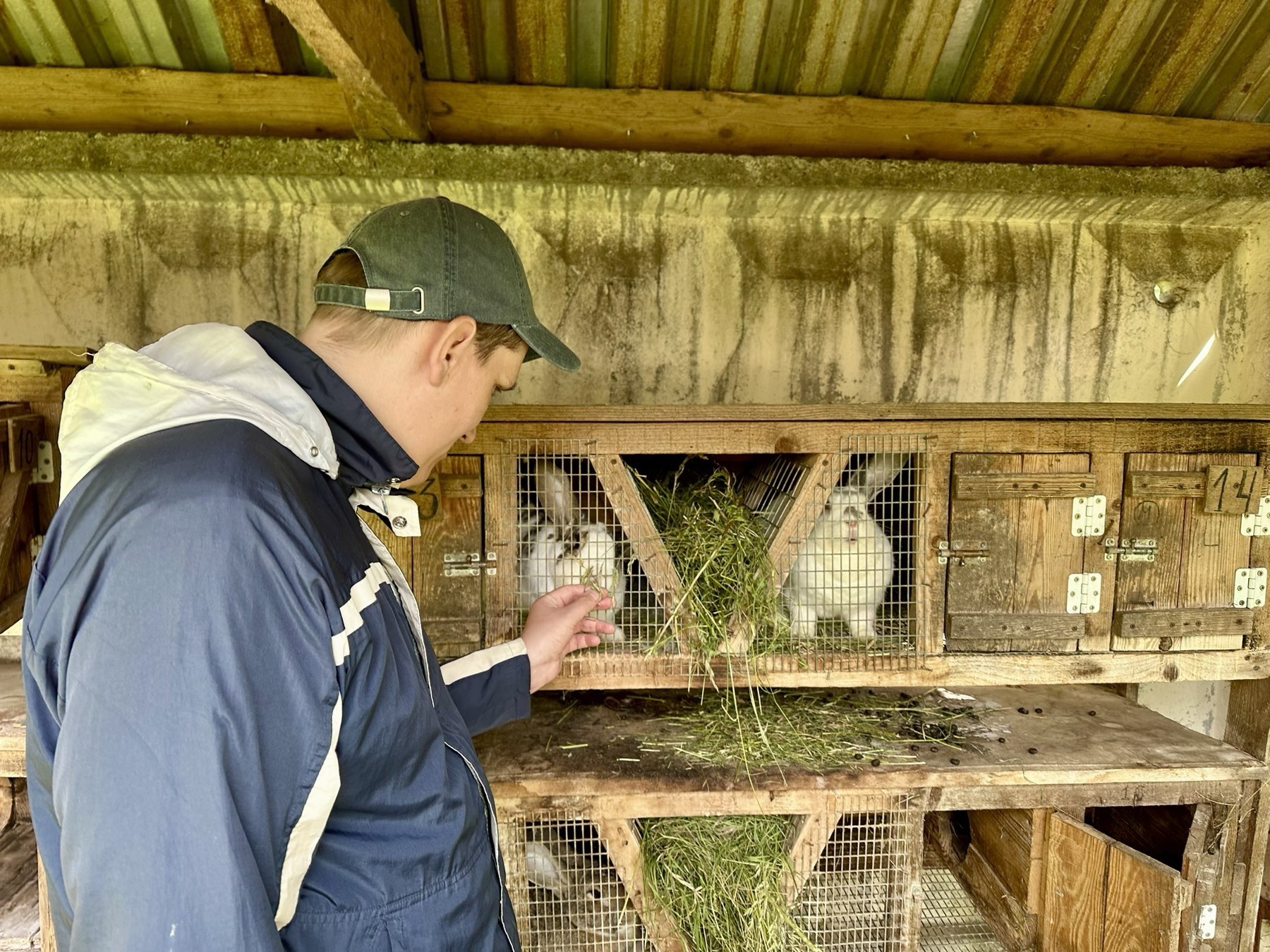 Картинка пансионата