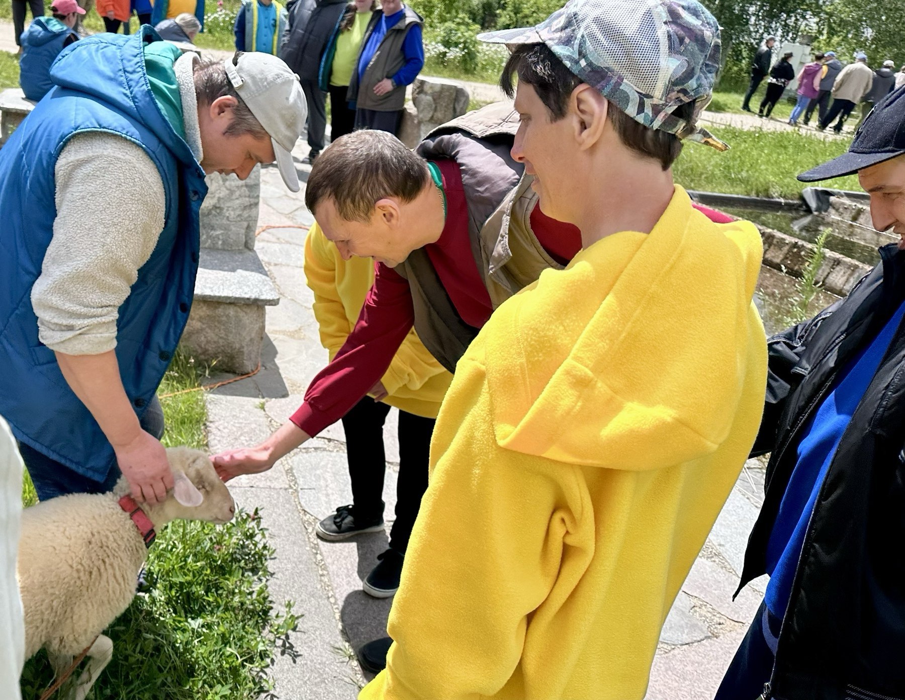 Картинка пансионата