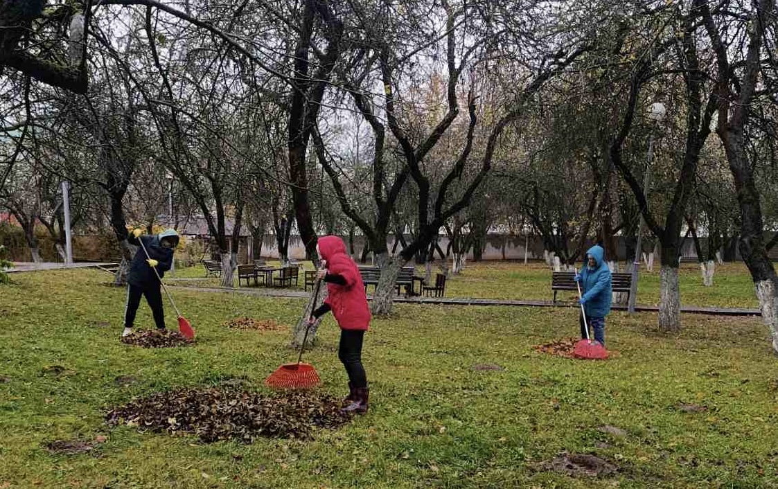Картинка пансионата