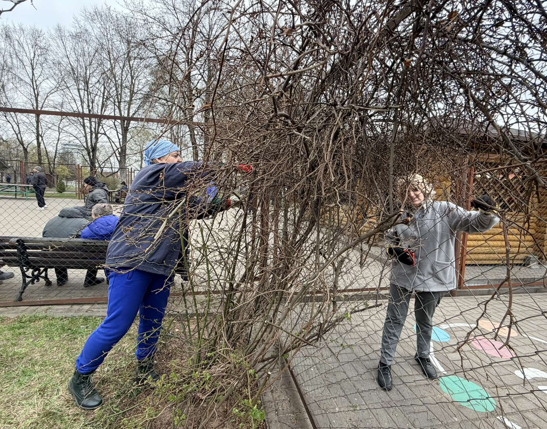 Картинка пансионата