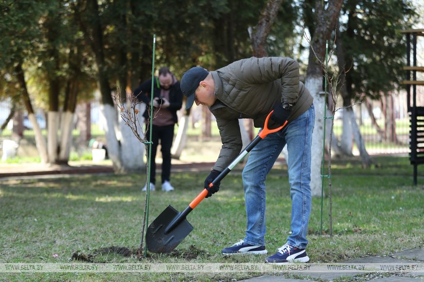 Картинка пансионата